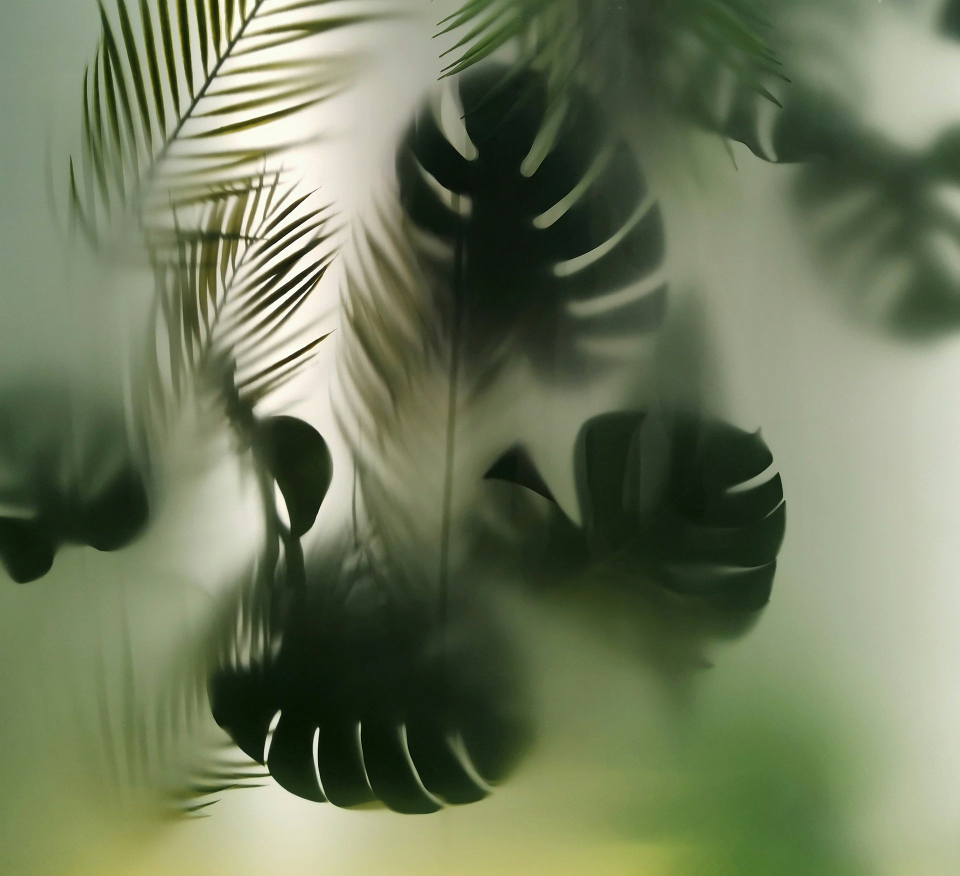 Get Extra Perks Via Email